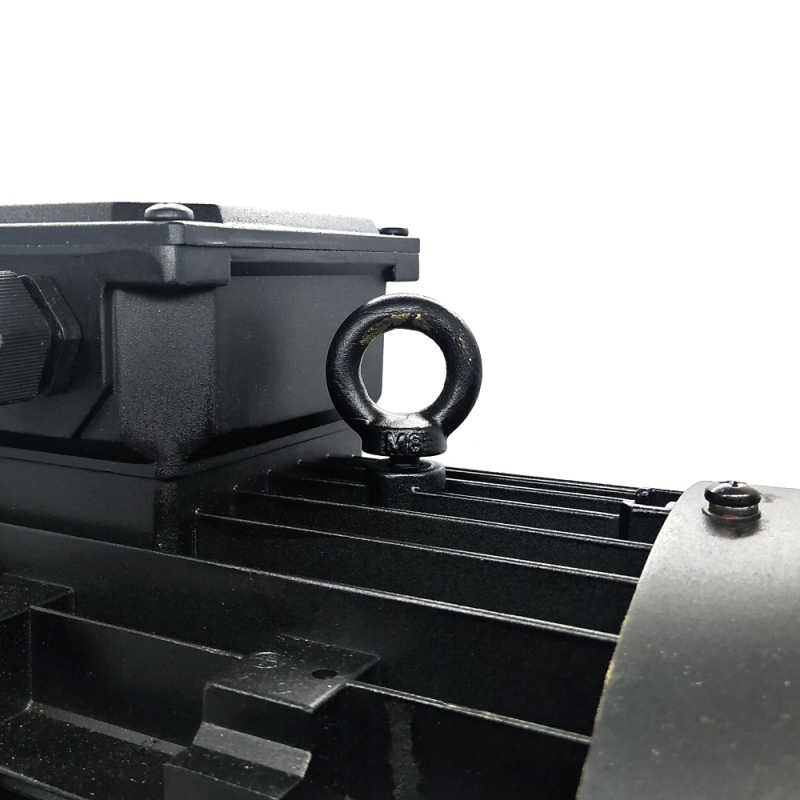 Hauptsägemotor für Formatkreissäge KS-132