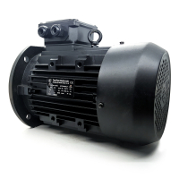 Hauptsägemotor für Formatkreissäge KS-132