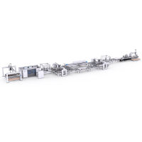 Automatische Linie zur Bearbeitung von Türplatten